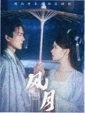 雀骨电视剧海报